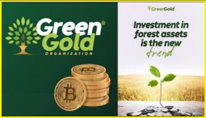 La start-up agroalimentaire ghanéenne Green Gold Farms lève 1,6 million de dollars pour relever le défi des importations alimentaires