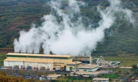 KenGen distribue plus de 1,9 million de plants d'arbres pour réduire les émissions de carbone au Kenya