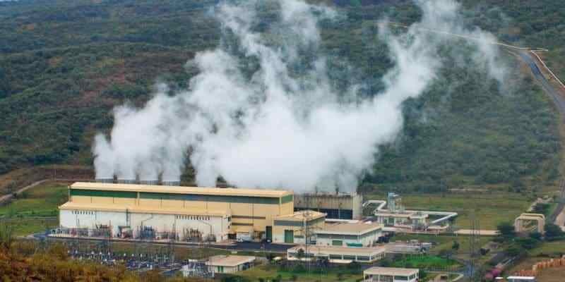 KenGen distribue plus de 1,9 million de plants d'arbres pour réduire les émissions de carbone au Kenya