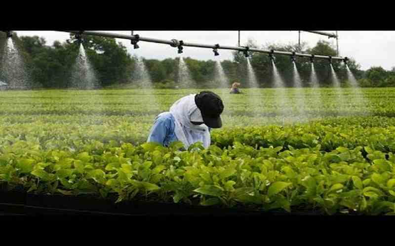 Des fortunes mitigées pour l'agro-industrie africaine en période de pandémie