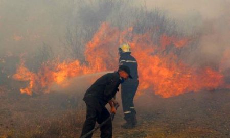 En Algérie, les incendies détruisent 71 hectares de couvert forestier