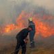 En Algérie, les incendies détruisent 71 hectares de couvert forestier