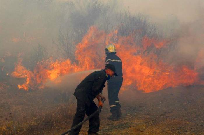 En Algérie, les incendies détruisent 71 hectares de couvert forestier