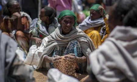 Un demi-million de personnes déplacées de l'Amhara éthiopienne en raison du front du Tigré