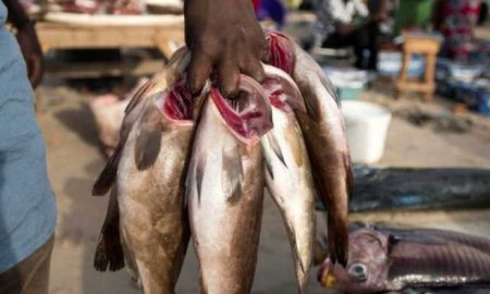 L'épuisement des ressources halieutiques aggrave la dispute entre les habitants du Cameroun et du Tchad