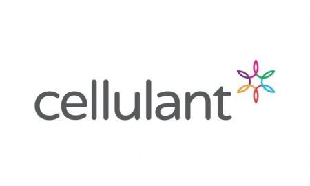 La société de paiement panafricaine Cellulant acquiert une licence de fournisseur de services de paiement au Ghana