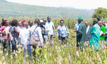 Le Centre for African Leaders in Agriculture lance son premier programme de leadership