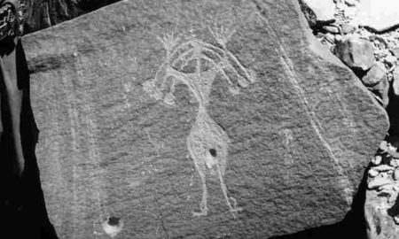 Des inscriptions rupestres datant de milliers d'années révèlent un énorme changement dans la faune de Djibouti