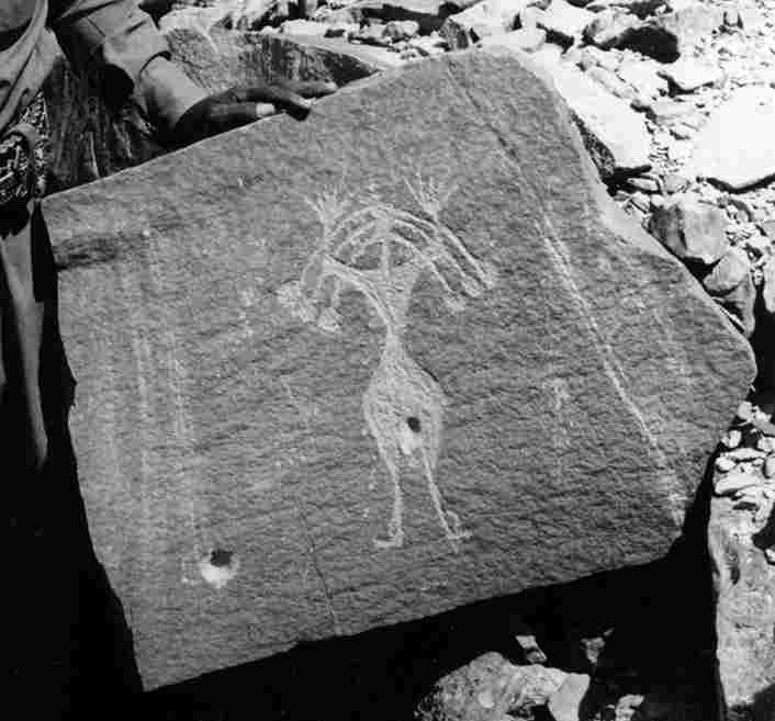 Des inscriptions rupestres datant de milliers d'années révèlent un énorme changement dans la faune de Djibouti