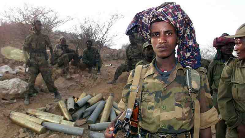 Éthiopie : les alliances du Front de libération du Tigré avec des « cellules terroristes » menacent la stabilité de la Corne de l'Afrique