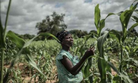 Le gouvernement indien accorde un million de dollars pour une agriculture résiliente au changement climatique au Zimbabwe