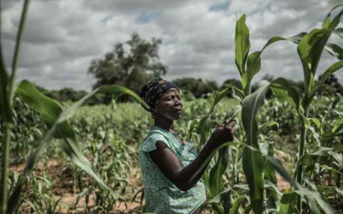 Le gouvernement indien accorde un million de dollars pour une agriculture résiliente au changement climatique au Zimbabwe