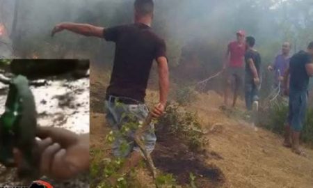 Pourquoi le régime des généraux en Algérie a incendié la région de Kabylie ?