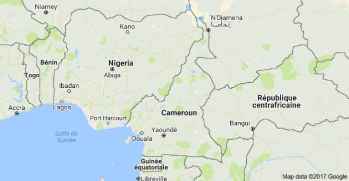 Le Nigeria confirme son engagement à achever la démarcation de la frontière avec le Cameroun