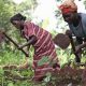 Les femmes prendront le volant dans l'industrie agricole dominée par les hommes au Nigeria