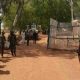 14 personnes tuées dans une attaque contre un village du nord du Nigeria