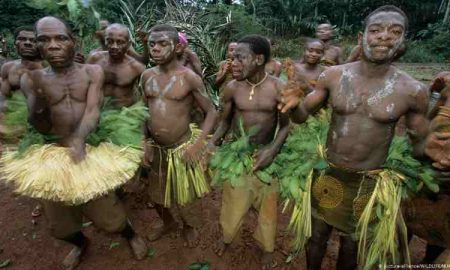 L'un des peuples les plus anciens qui habitaient les forêts africaines, qui sont les Pygmées ?