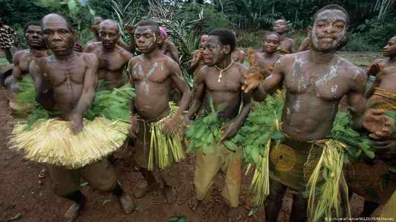 L'un des peuples les plus anciens qui habitaient les forêts africaines, qui sont les Pygmées ?