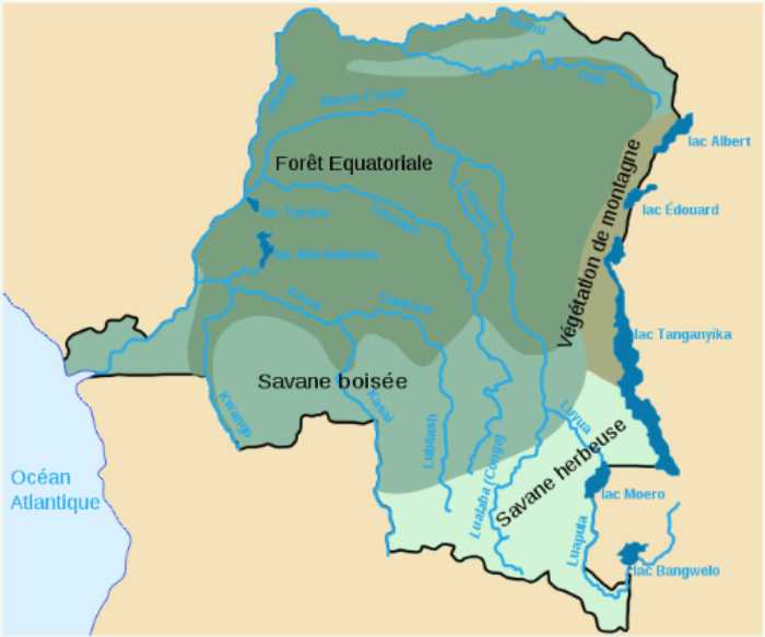 Dynamisme congolais : face aux défis économiques et sociaux