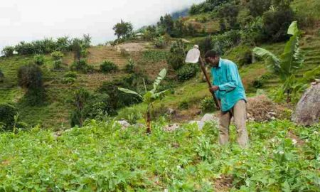 La radio rurale stimule l'agriculture en Tanzanie