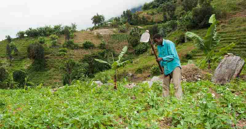 La radio rurale stimule l'agriculture en Tanzanie