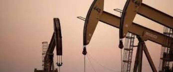 Total et DIG Oil prêts à récupérer des licences pétrolières en RDC