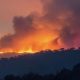 Les incendies en Algérie ont détruit plus de 10 000 hectares