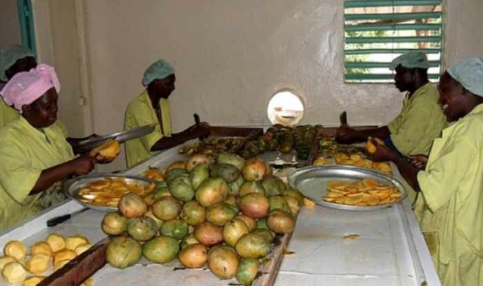 Accélérer les zones spéciales de transformation agro-industrielle en Afrique