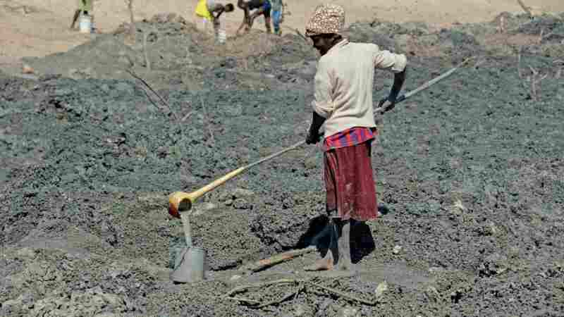 La sécheresse dans le sud-ouest de l'Angola provoque une grave famine