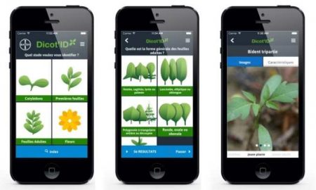 Corteva lance une application d'identification des nuisibles et des mauvaises herbes au Kenya