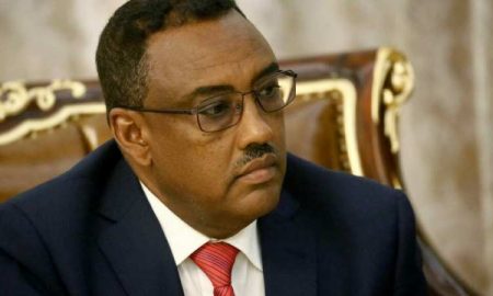 Éthiopie : Nous cherchons à changer la scène diplomatique pour assurer l'intérêt national