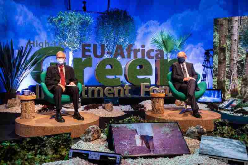 Le pacte vert audacieux de l'Afrique