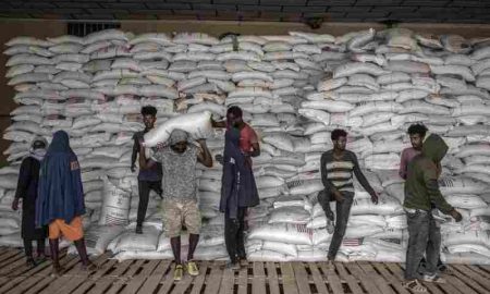 USAID : les forces tigréennes pillent des entrepôts de secours à Amhara