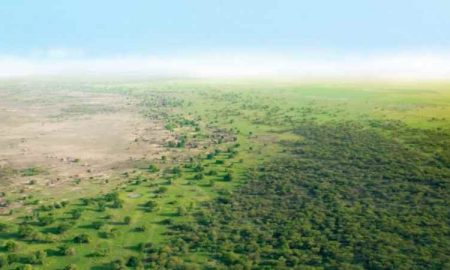 La grande barrière verte de l'Afrique