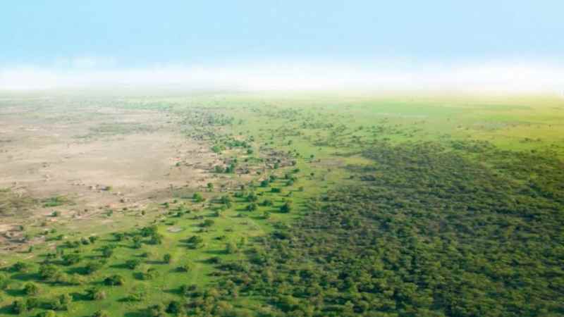 La grande barrière verte de l'Afrique