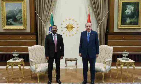 Erdogan accepte l'invitation d'Abiy Ahmed à se rendre en Éthiopie ce mois-ci