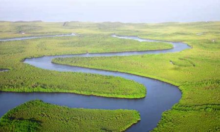 Un sommet tripartite pour ouvrir des projets dans le secteur de l'énergie dans le cadre de la Gambia Basin Investment Organization