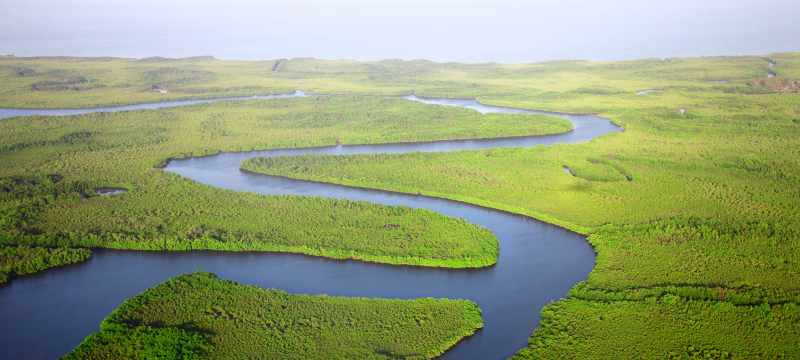 Un sommet tripartite pour ouvrir des projets dans le secteur de l'énergie dans le cadre de la Gambia Basin Investment Organization