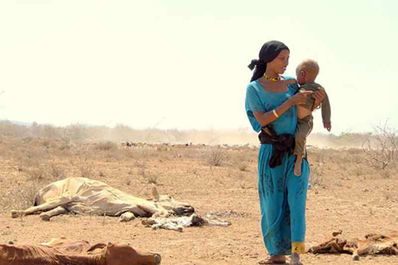 Kenya...La sécheresse menace les humains et tue les animaux