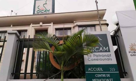 NuRAN Wireless annonce l'approbation d'un prêt de projet avec la Banque-Cameroun