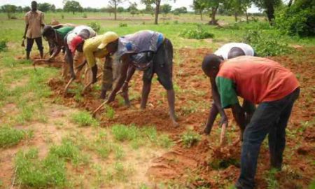 Zanaco et Team Europe lancent une initiative d'investissement agricole de 30 millions d'euros pour les petits agriculteurs en Zambie