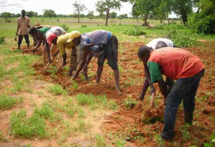 Zanaco et Team Europe lancent une initiative d'investissement agricole de 30 millions d'euros pour les petits agriculteurs en Zambie