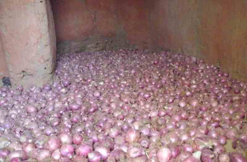 Agri Resources Congo cible les producteurs d'oignons avec une installation de stockage à froid