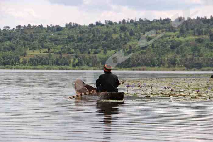 Burundi : la protection des lacs du Nord porte déjà ses fruits
