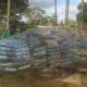 Une baleine géante en plastique sensibilise aux dangers de la pollution marine au Cameroun