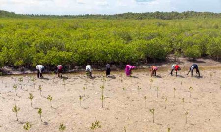 Le FIDA investit 67,43 millions de dollars pour accroître la productivité des petits agriculteurs du Zimbabwe