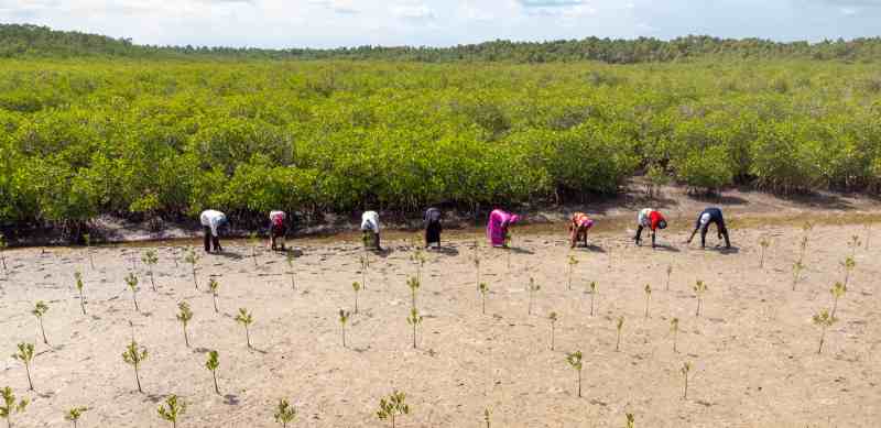 Le FIDA investit 67,43 millions de dollars pour accroître la productivité des petits agriculteurs du Zimbabwe