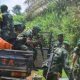 19 morts et 30 maisons incendiées dans une attaque de milices en République démocratique du Congo