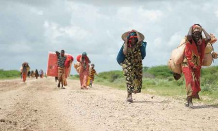La Somalie annonce qu'elle traverse une situation humanitaire d'urgence et demande une aide internationale