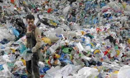 Les Algériens utilisent 7 milliards de sacs plastiques par an